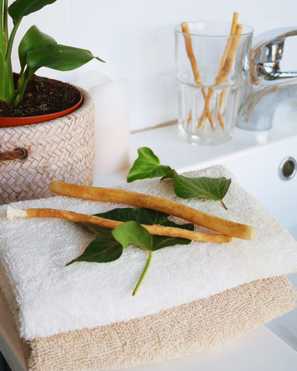 Bâtons de siwak regroupés sur une surface en bois chaleureuse dans une lumière naturelle douce, image produit principale en format haut