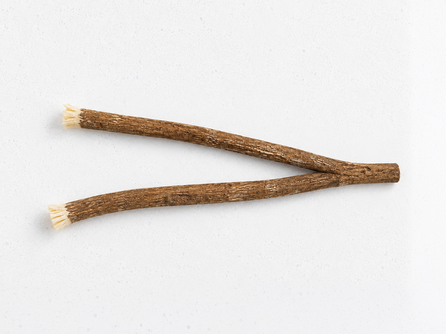 Gros plan d'un bâton de siwak en bois d'olivier montrant le grain plus clair et plus ferme du bois d'olivier